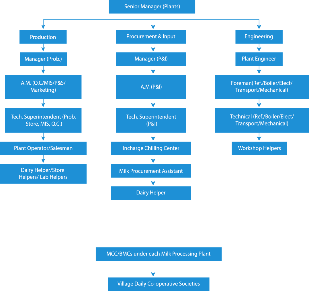 Milkfed-organization-Chart