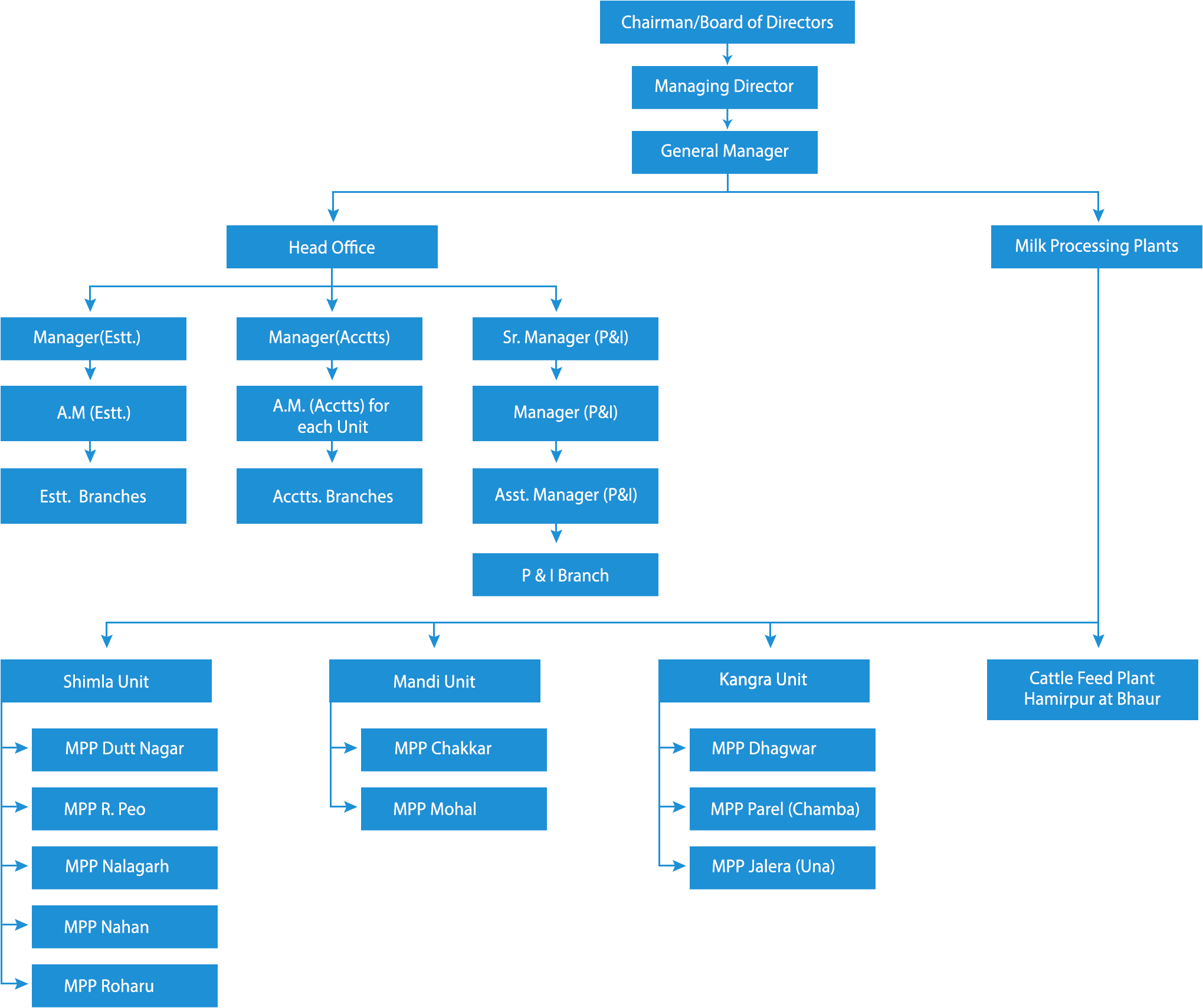 ORGANIZATION-CHART